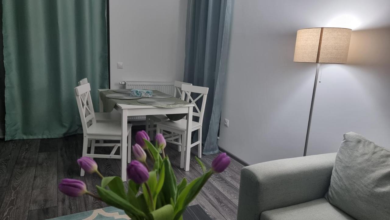 Swan Brasov Apartment Exteriér fotografie